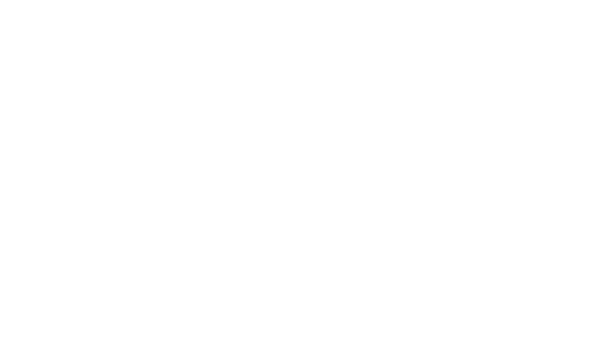 Valencia Ink. LLC Logo - Footer
